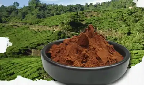 What are the Applications of Instant Black Tea Powder in Different Industries?
